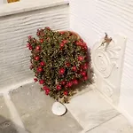 Panormos Studio *